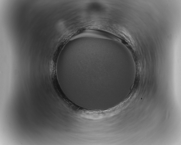 X0000094350029200711021441