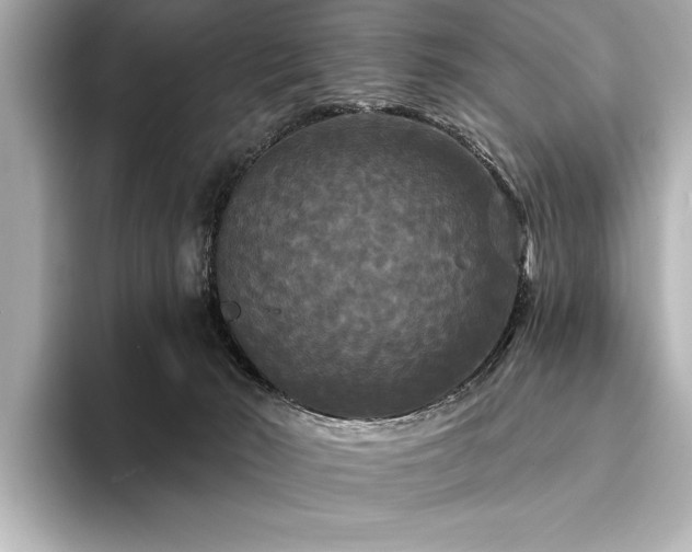 X0000094350030200711021441