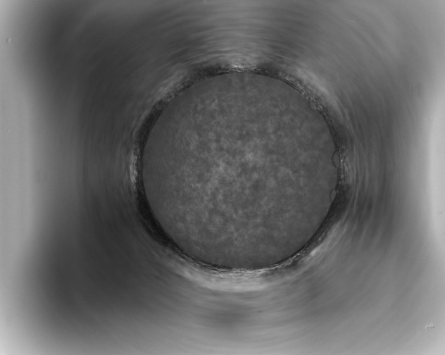 X0000094350032200711021441