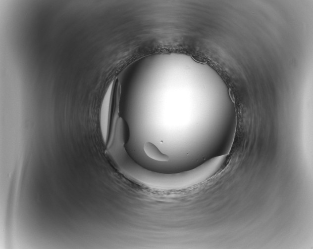 X0000094350033200711021441