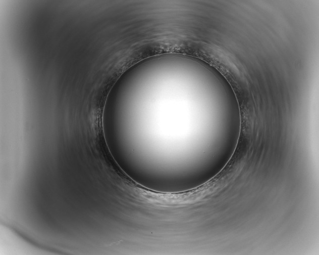 X0000094350034200711021441