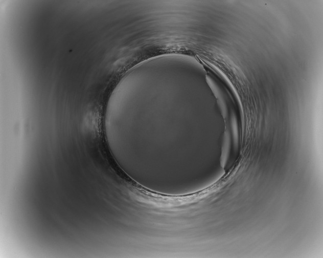 X0000094350035200711021441