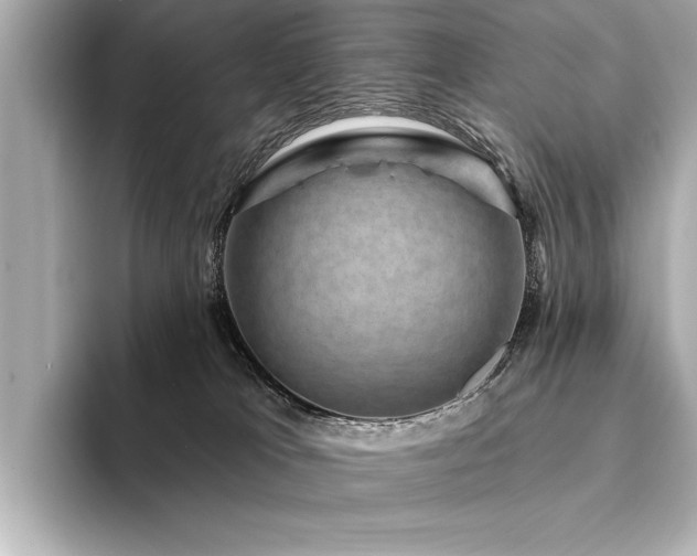 X0000094350037200711021441