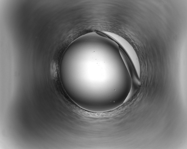 X0000094350038200711021441