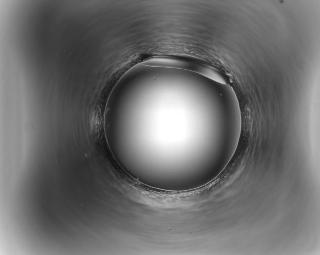 X0000094350040200711021441