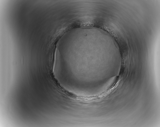 X0000094350041200711021441