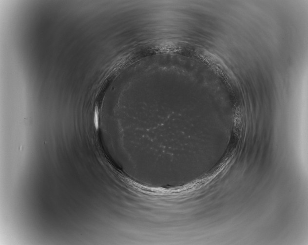 X0000094350046200711021440