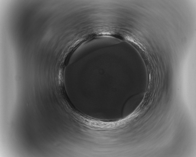 X0000094350048200711021440