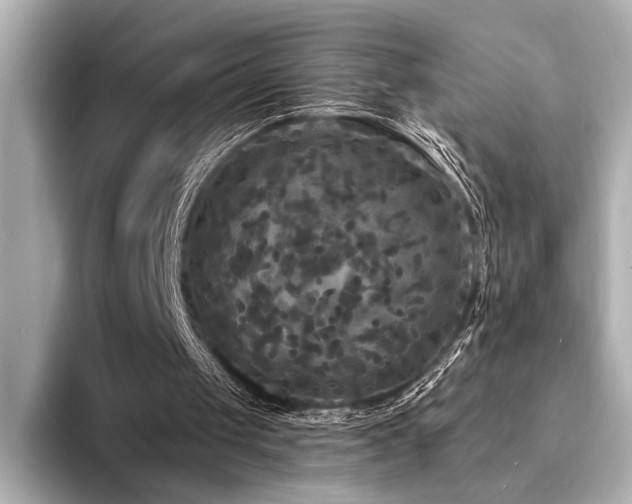 X0000094350049200711021440