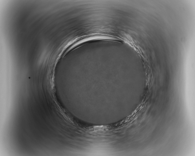 X0000094350050200711021440