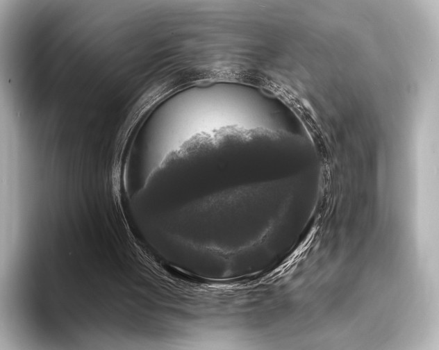 X0000094350051200711021440