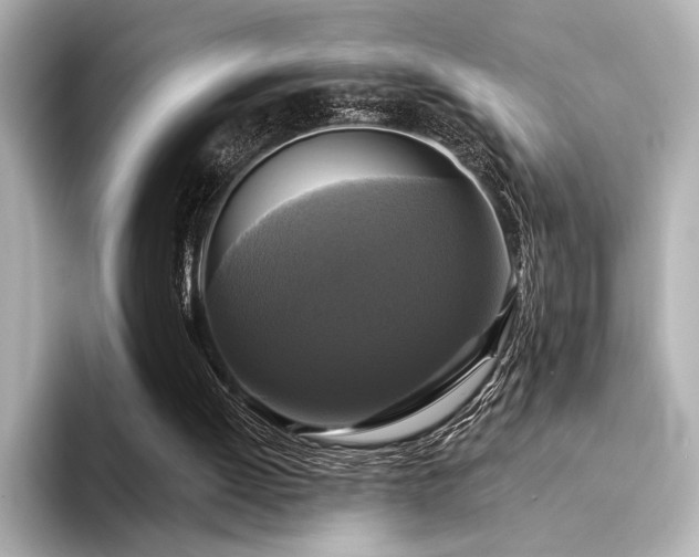 X0000094350052200711021440