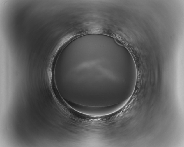 X0000094350054200711021440