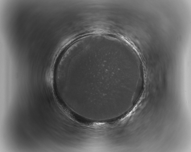 X0000094350055200711021440