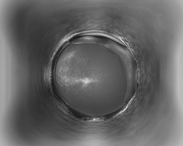 X0000094350056200711021440