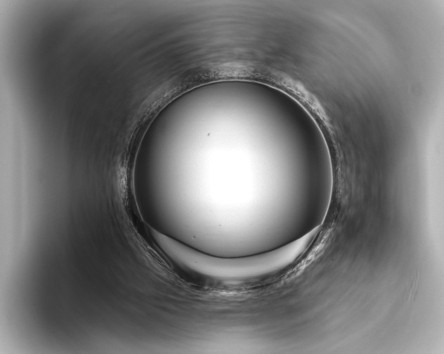 X0000094350057200711021440