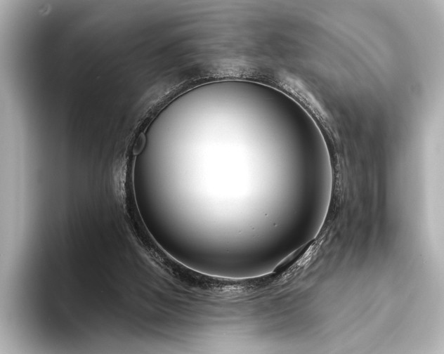 X0000094350058200711021440