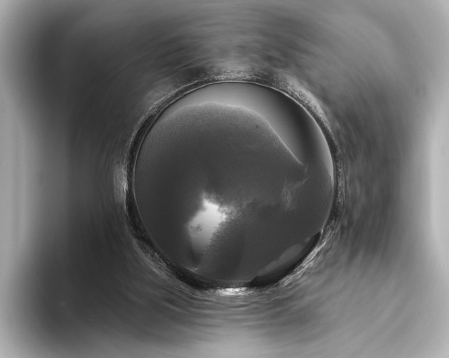 X0000094350059200711021440