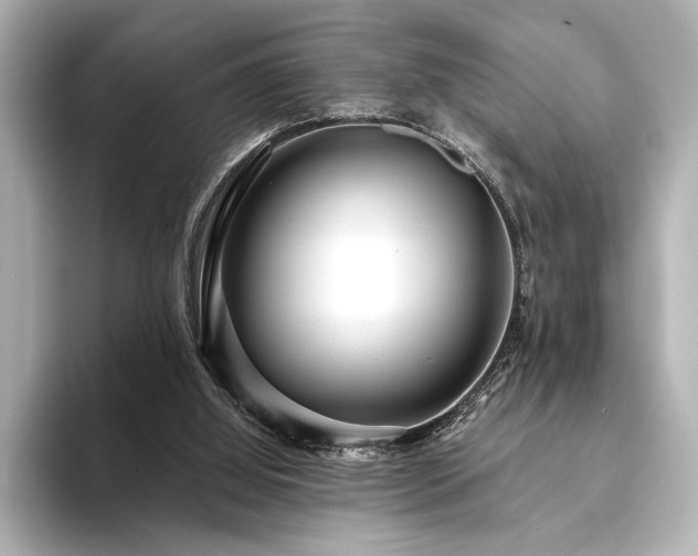 X0000094350060200711021440