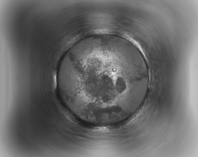 X0000094350061200711021440