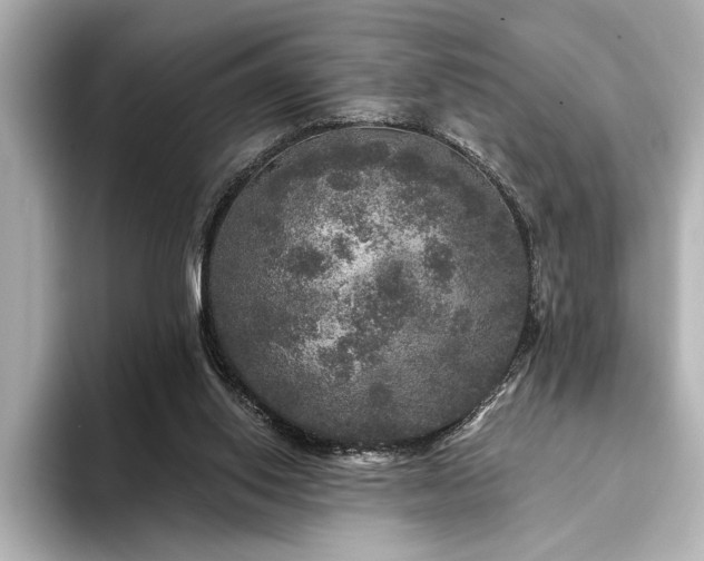 X0000094350062200711021440