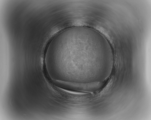 X0000094350063200711021440