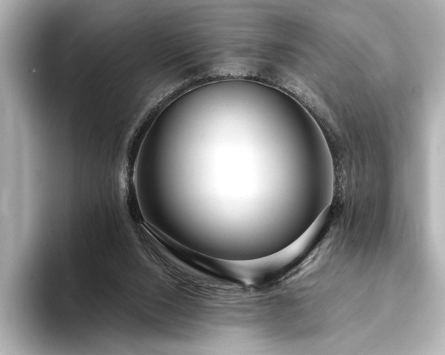 X0000094350064200711021440