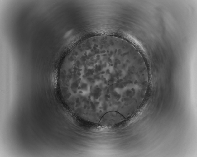 X0000094350065200711021440