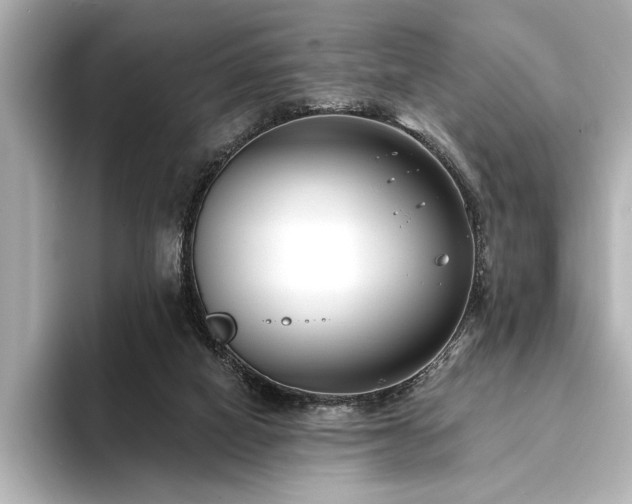 X0000094350066200711021440