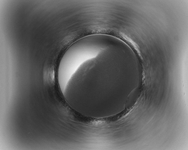 X0000094350067200711021440