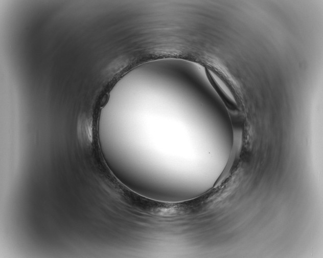 X0000094350068200711021440