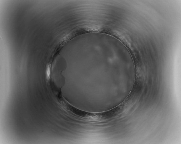 X0000094350069200711021440