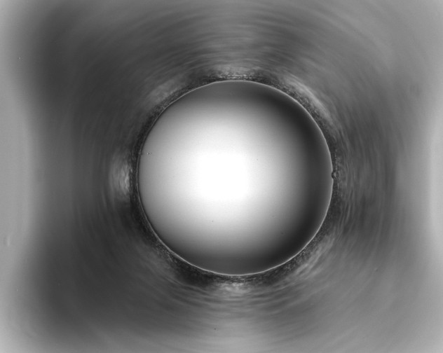 X0000094350071200711021440