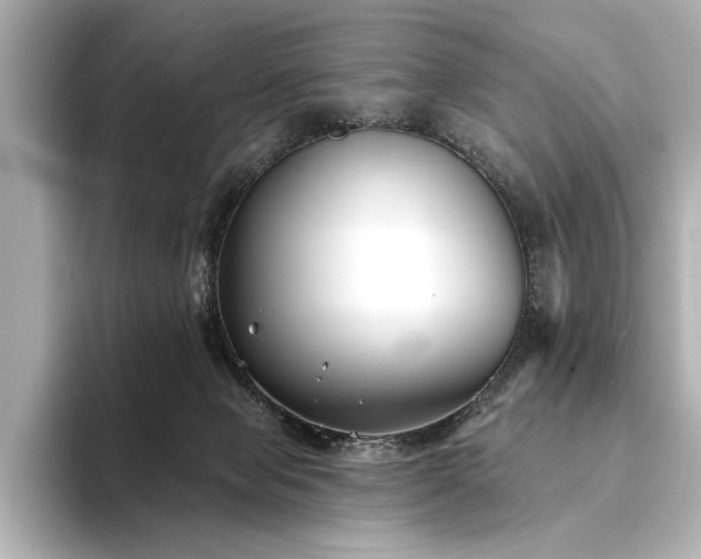 X0000094350077200711021440