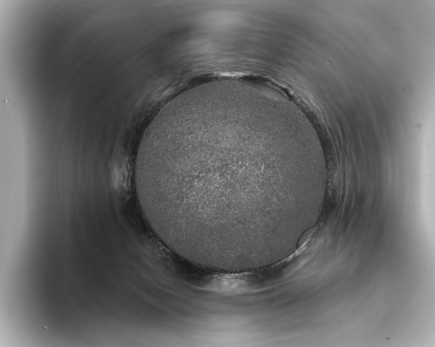 X0000094350078200711021440