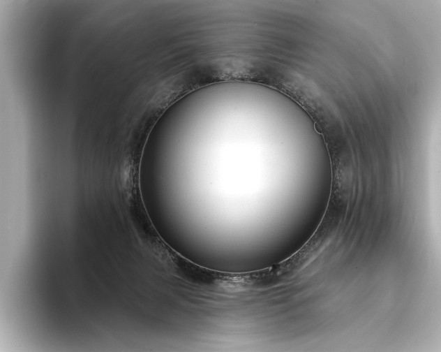 X0000094350079200711021440