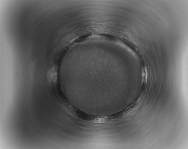 X0000094350080200711021440