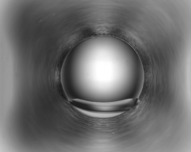 X0000094350081200711021440