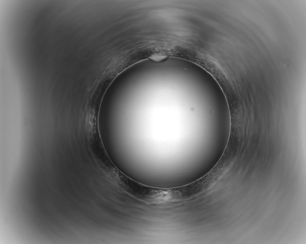 X0000094350083200711021440