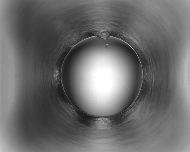 X0000094350087200711021440