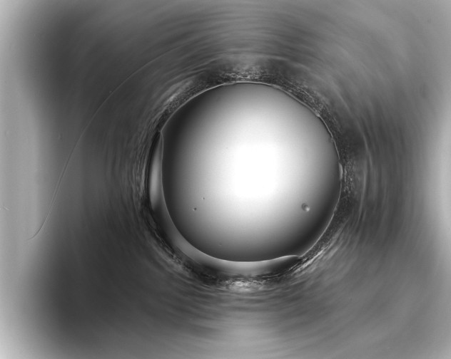 X0000094350092200711021440