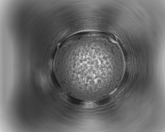 X0000094350093200711021440