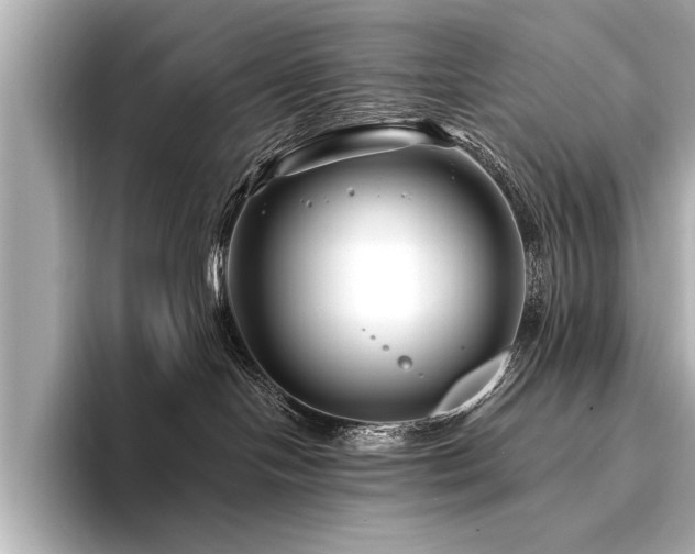 X0000094350094200711021440