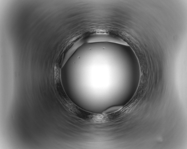 X0000094350096200711021440