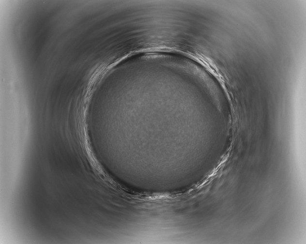 X0000094350097200711021440