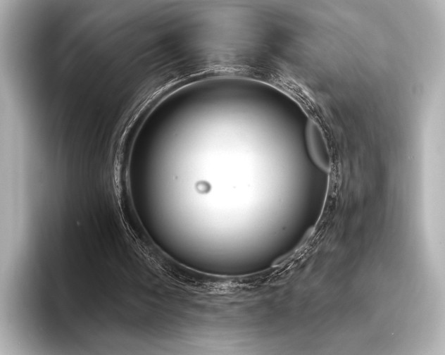 X0000094350098200711021440