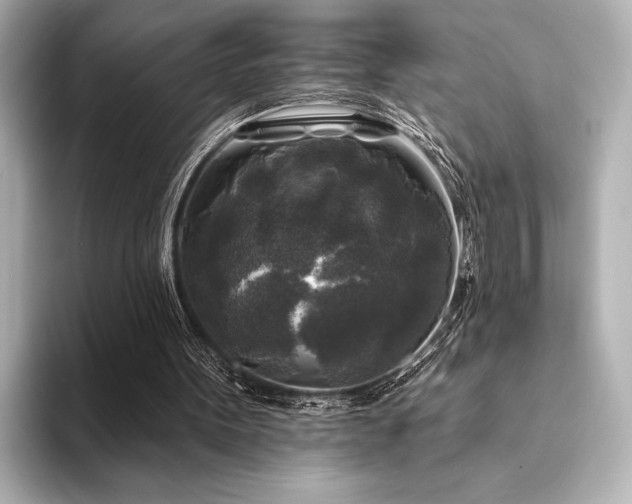 X0000094350099200711021440