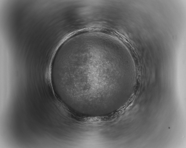 X0000094350100200711021440