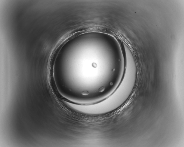 X0000094350101200711021440