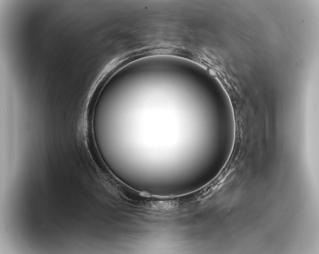 X0000094350102200711021440